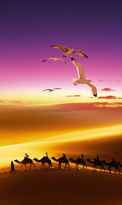 企業文化 企業文化